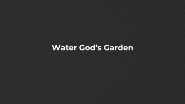 Water God’s Garden